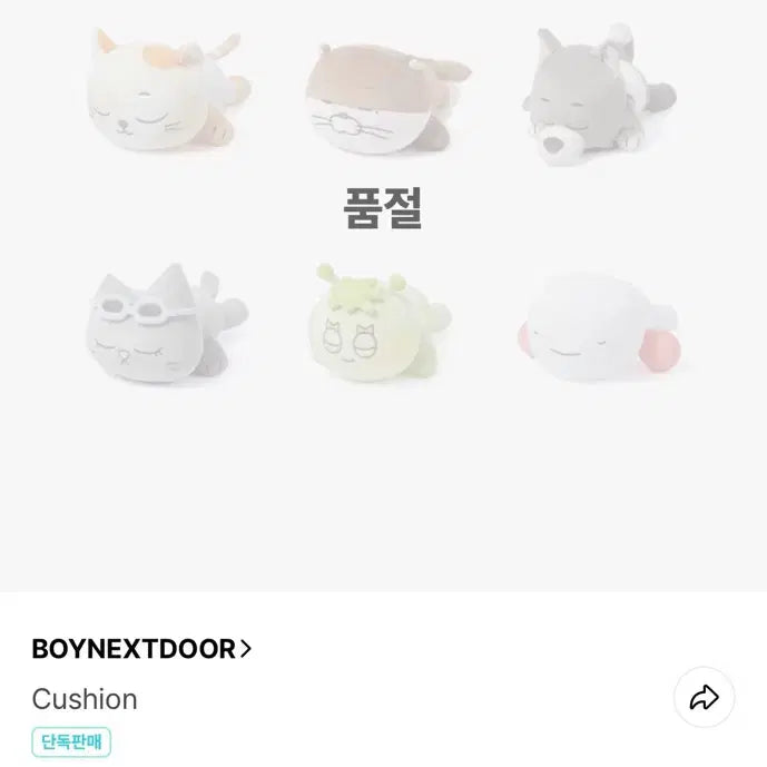 [BUNJANG] KIM MINJI 2nd Generation Cushion / 오늘만 이가격))명명이 2기 쿠션 팝니다