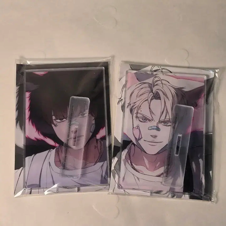 [BUNJANG] Code Name Anastasia Acrylic Charm / 미개봉 코아나 코드네임아나스타샤아크릴