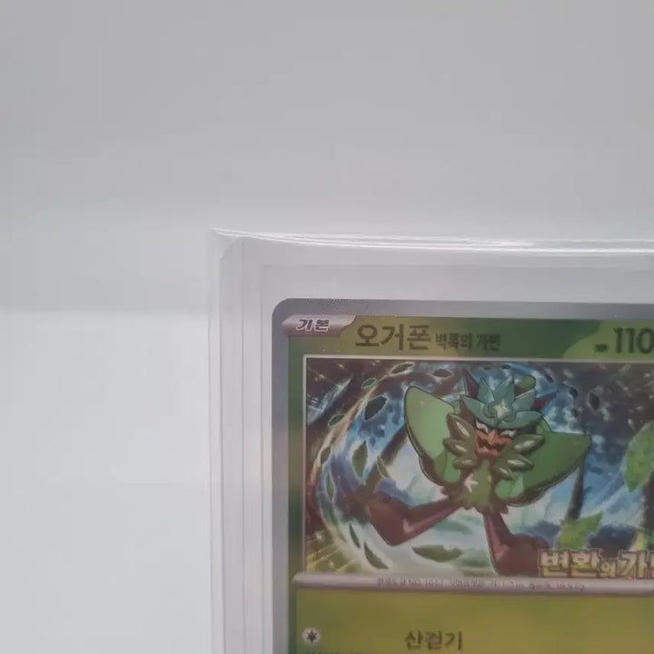 [BUNJANG] Ogerpon Promo Card / 포켓몬 카드 오거폰 프로모 카드 판매합니다.