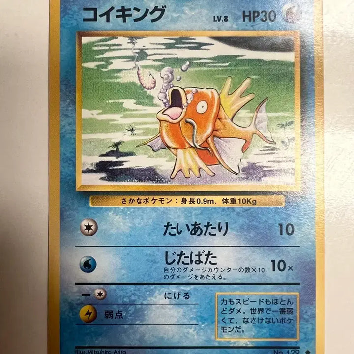 [BUNJANG] Pokemon Card First Edition Magikarp Vintage / 포켓몬카드 초판 잉어킹