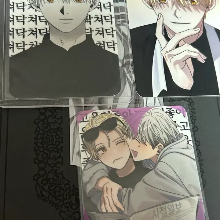 [BUNJANG] Sijeol Inyeon Special Photocard Bundle Set / 여러장)시절인연 방포 인형포카 스페셜포카 코롯토 키링 뱃지