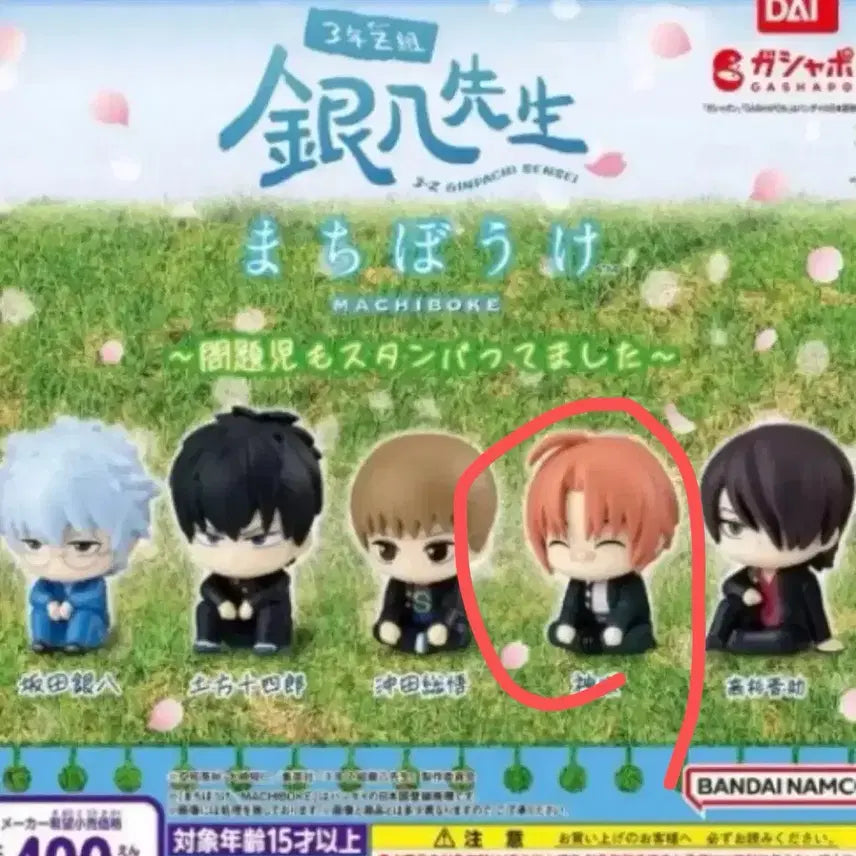 [BUNJANG] Gintama 3Z Machi Bokke Kamui Sealed / 은혼 삼젯 마치보케 카무이