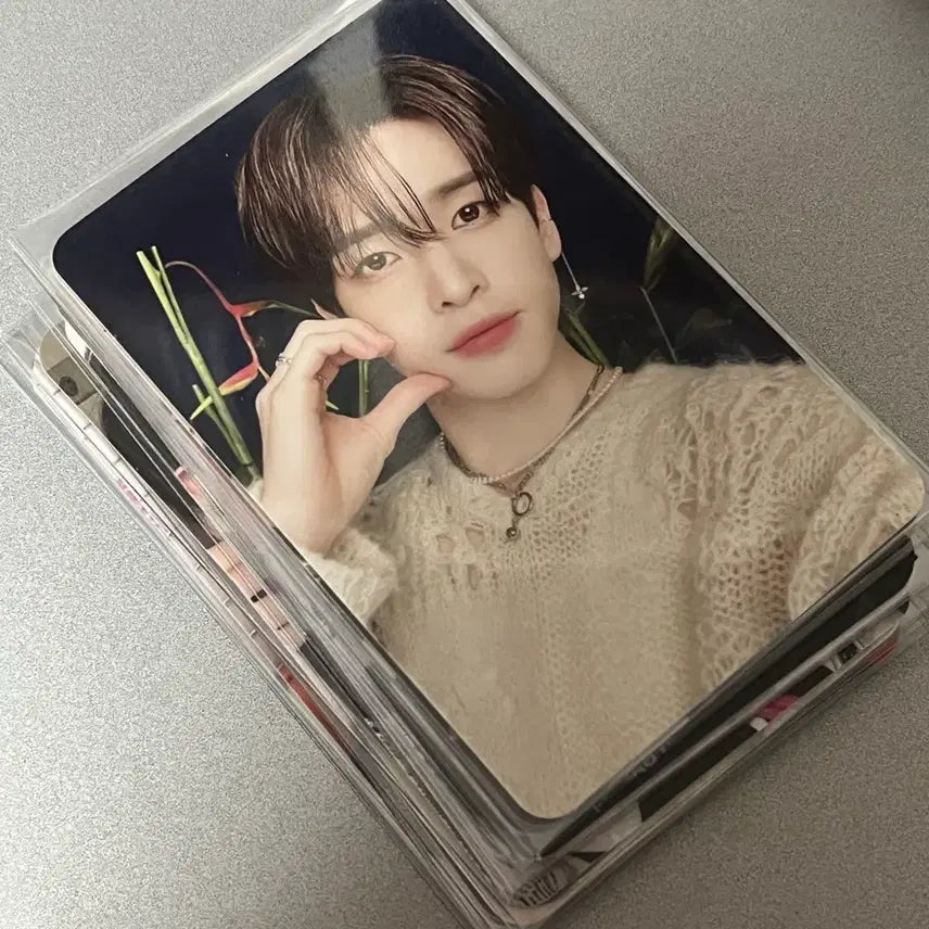 [BUNJANG] CRAVITY Allen Photocard Set / 크래비티 앨런 포카 17장