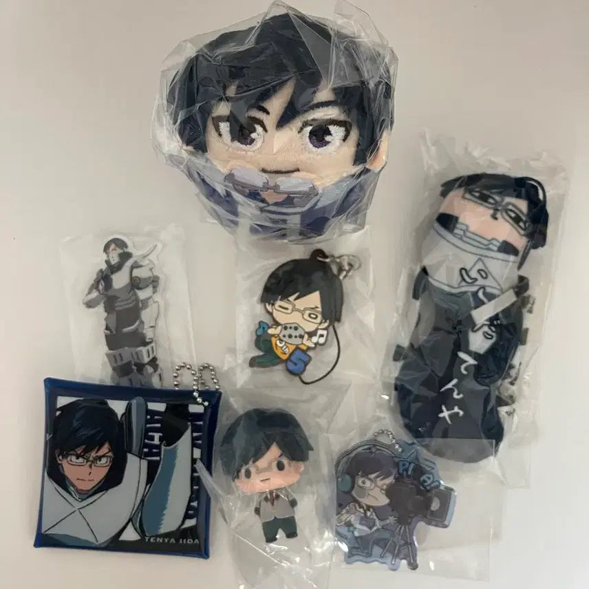 [BUNJANG] My Hero Academia Iida Tenya Glasses-Off Mochicororing Goods Set / 나히아 이이다 텐야 굿즈