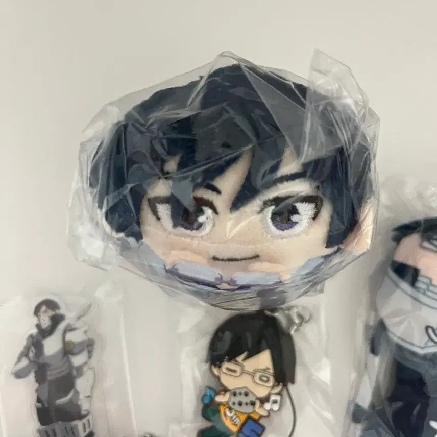 [BUNJANG] My Hero Academia Iida Tenya Glasses-Off Mochicororing Goods Set / 나히아 이이다 텐야 굿즈