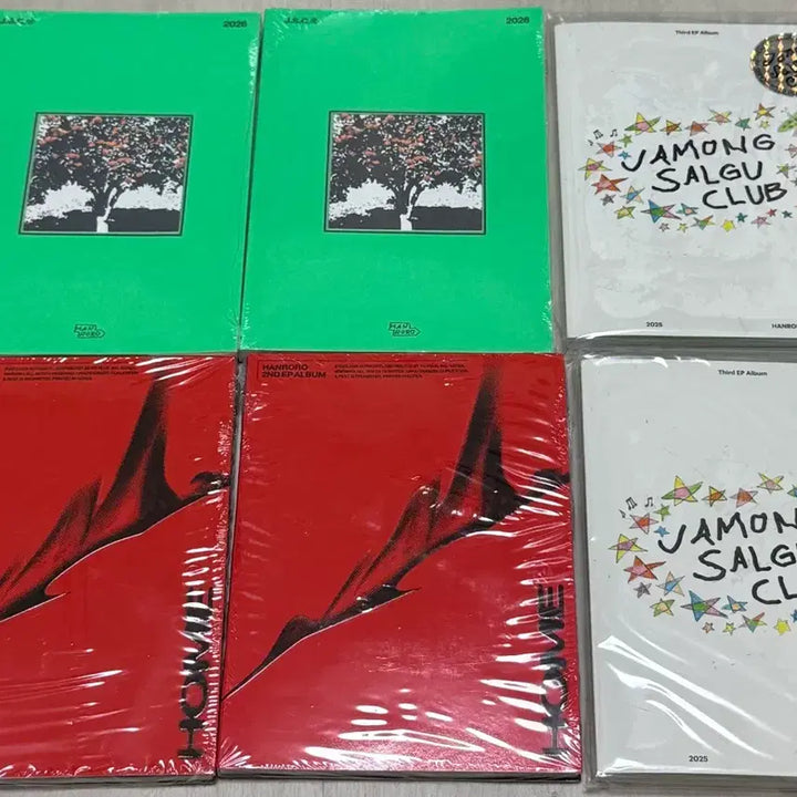 [BUNJANG] Hanroro 2nd Album "Jamong Salgu Club" Diary Bundle Set / 한로로 다이어리 + ㅈㅣㅂ + 자몽살구클럽 hanroro
