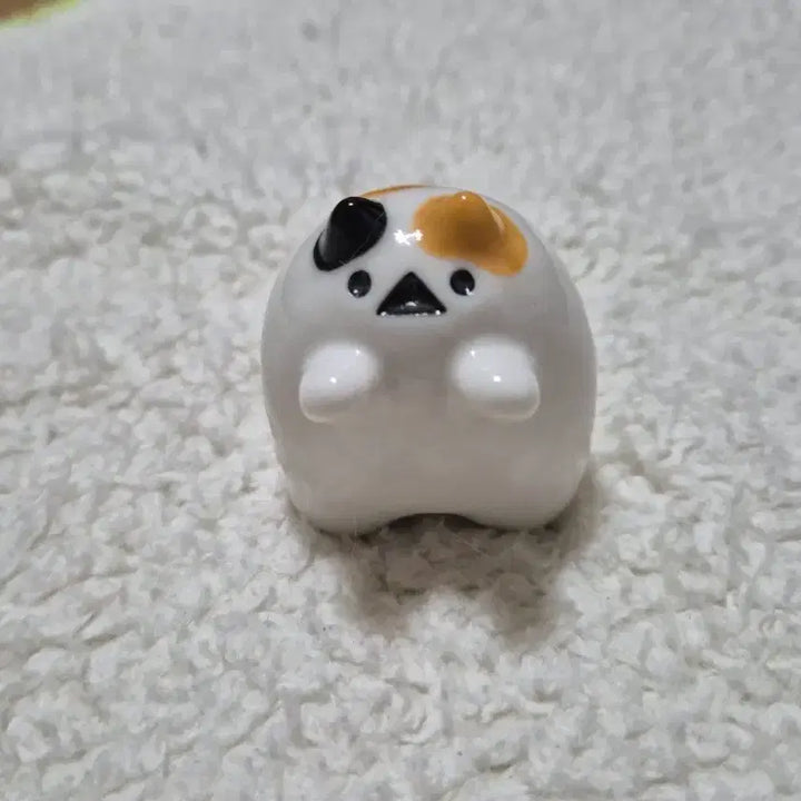 [BUNJANG] Toys Three-Color Dinosaur Toy / 토인즈 삼색 어린이 티라노