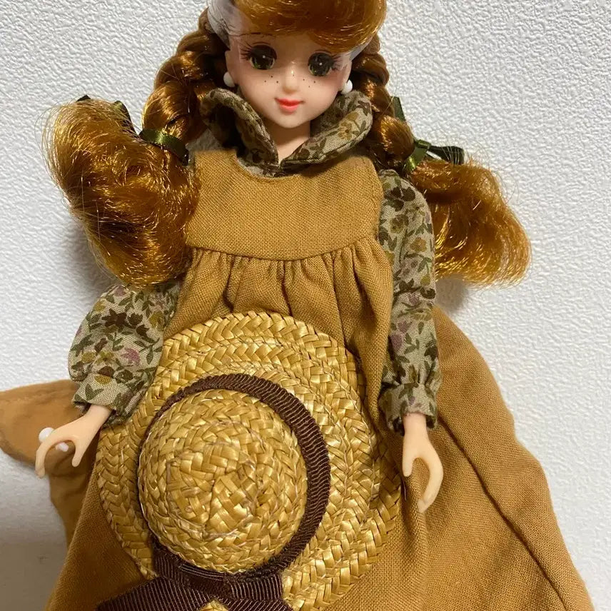 [BUNJANG] Totoco Anne of Green Gables Doll / TOTOCO 빨강머리앤 (anne of green gables)