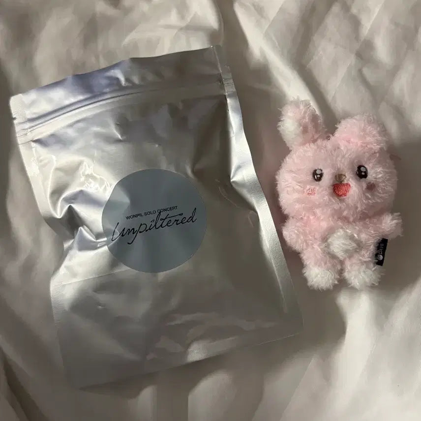 [BUNJANG] DAY6 Wonpil Unfiltered Secret Mini Plush Keychain / [원가양도] 원필 언필터드 시크릿 키링 초롱필