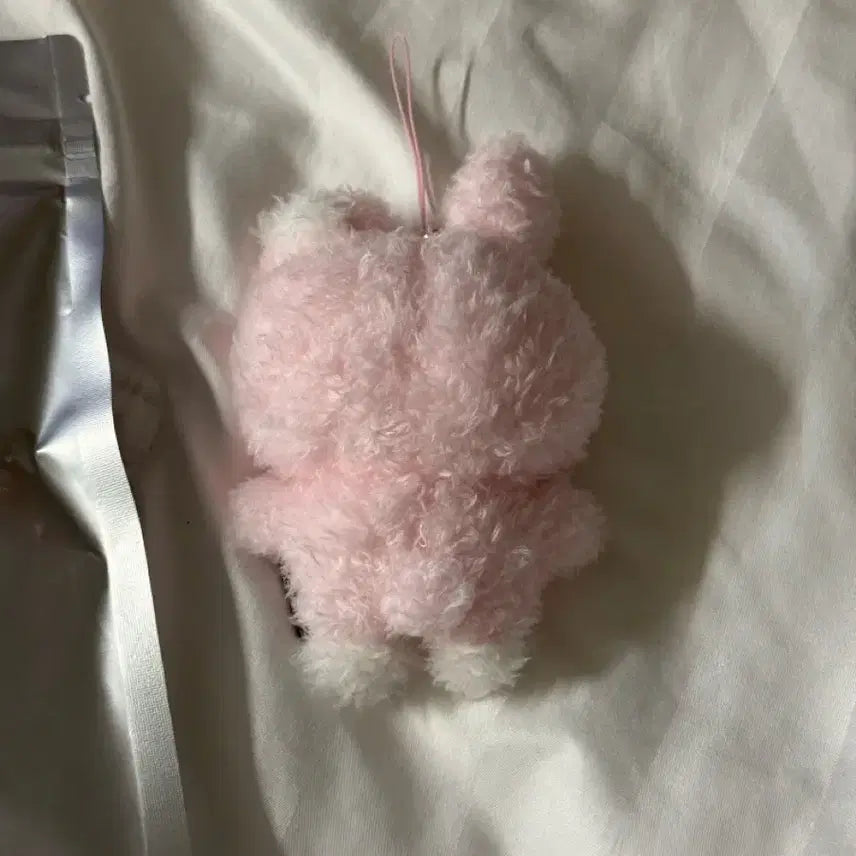 [BUNJANG] DAY6 Wonpil Unfiltered Secret Mini Plush Keychain / [원가양도] 원필 언필터드 시크릿 키링 초롱필