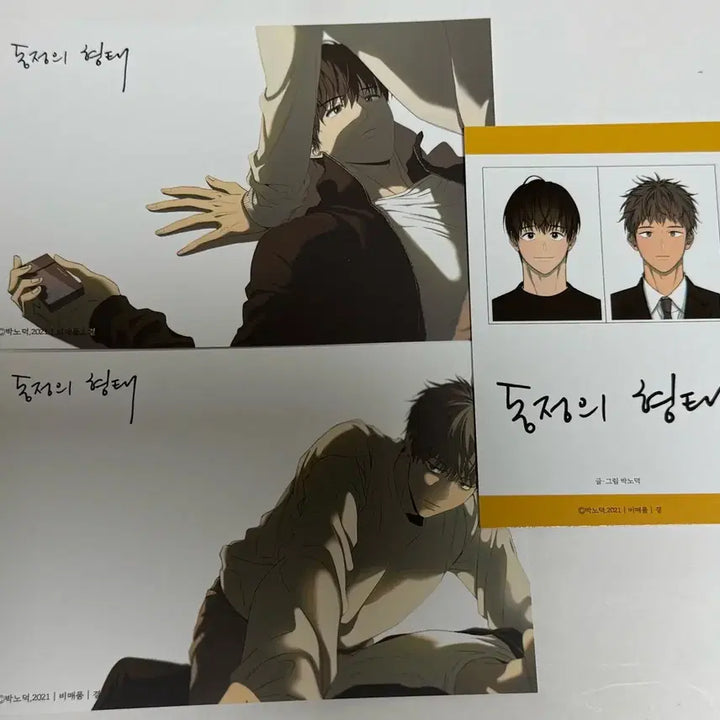 [BUNJANG] The Form of Virginity Exclusive Set Bundle Set / 동정의형태 특전 세트 양도
