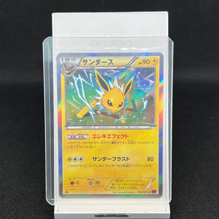 [BUNJANG] Pokemon Card Japanese Jupiter XY Series 1st Edition / 포켓몬카드 일판 쥬피썬더 XY 시리즈 1st edition