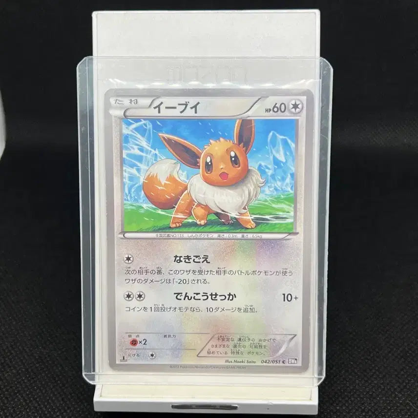 [BUNJANG] Pokemon Card Japanese Eevee BW8 1st Edition / 포켓몬 카드 일판 이브이 BW8 1st edition