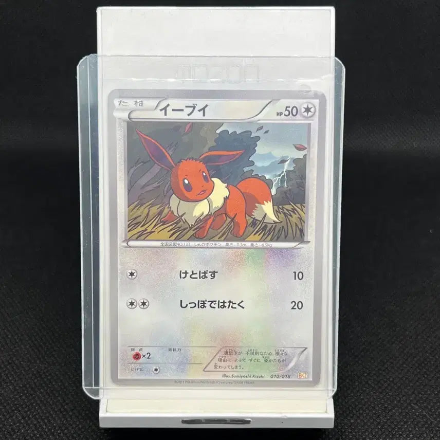 [BUNJANG] Pokemon Card Japanese Eevee BKZ Series / 포켓몬 카드 일판 이브이 BKZ 시리즈