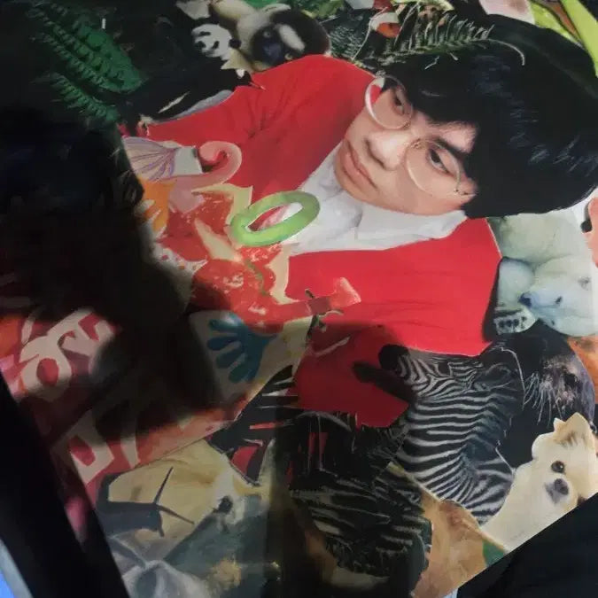 [BUNJANG] The Black Skirts 201 LP (Sealed) / 검정치마 201 lp 미개봉