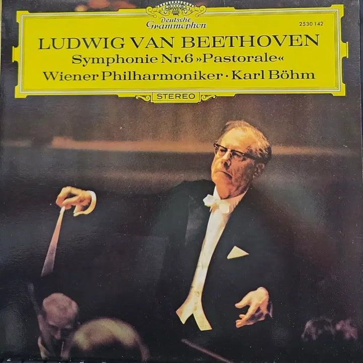 [BUNJANG] Ludwig van Beethoven Symphony No. 6 &