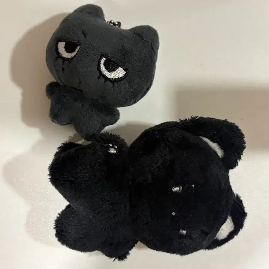 [BUNJANG] BoyNextDoor Taesan 7cm Plush Doll / 급처!!!! 태냐코 7cm 보이넥스트도어 보넥도 태산인형