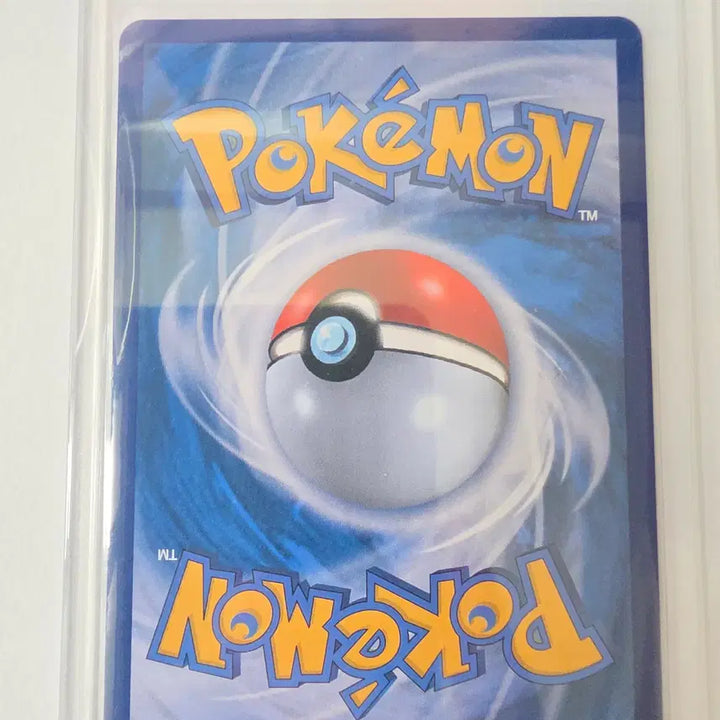 [BUNJANG] Pokemon Card Professor&