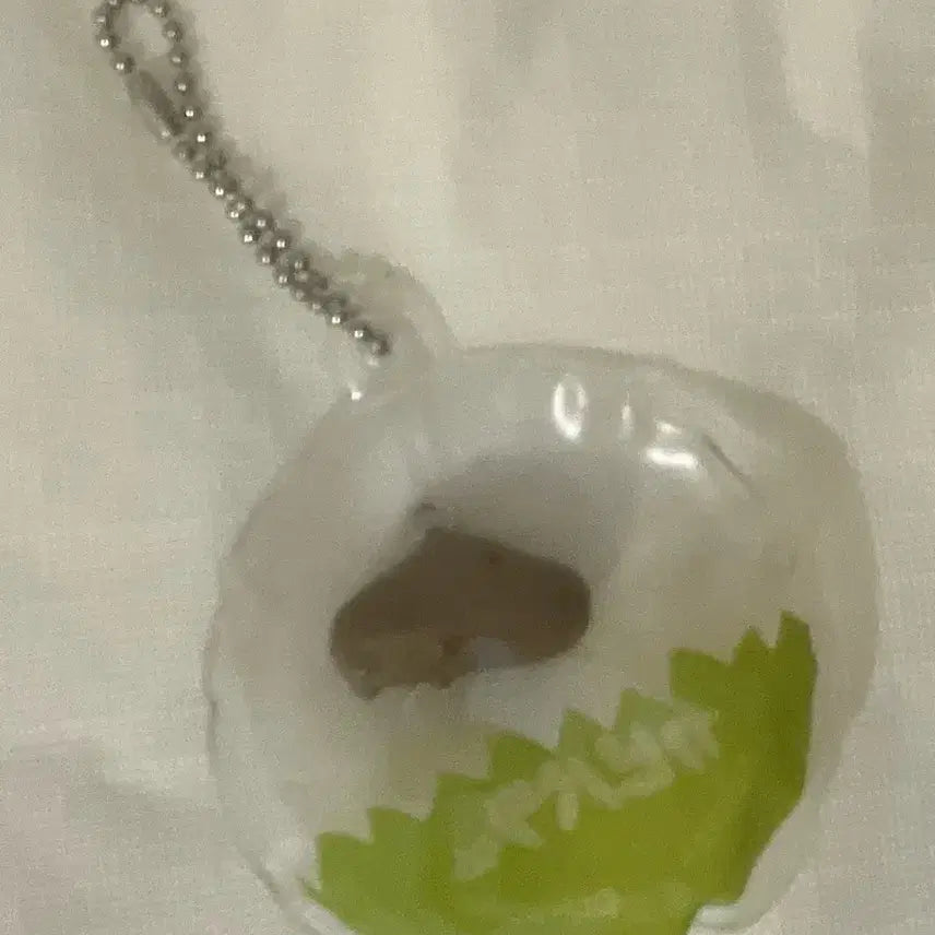 [BUNJANG] Classic Capybara Balloon Keychain / 고전 카피바라 풍선 키링