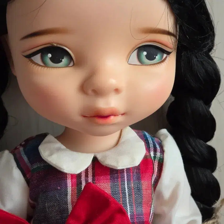 [BUNJANG] Babydoll Mulan Doll with Photo Set / 베이비돌 뮬란 사진구성 택포 6만원  신발은 디폴신발신고가요