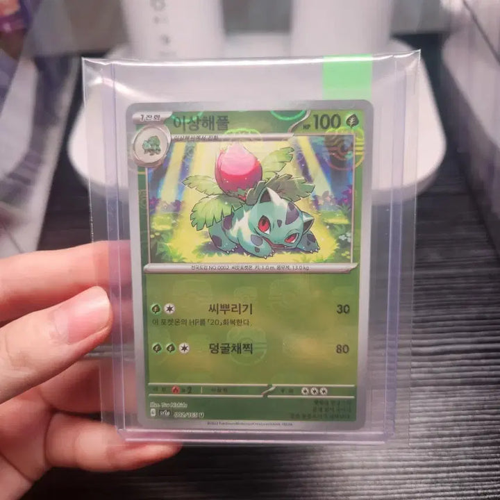[BUNJANG] Master Ball Holo Ivysaur / [A+급] 이상해풀 마스터볼 홀로