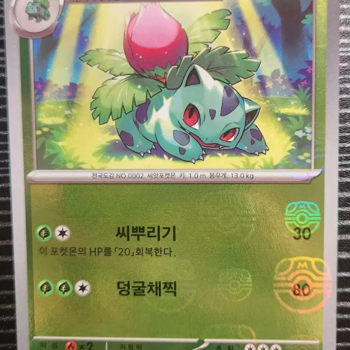 [BUNJANG] Master Ball Holo Ivysaur / [A+급] 이상해풀 마스터볼 홀로