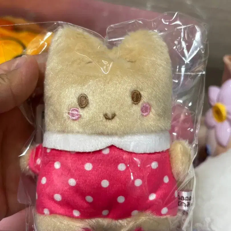 [BUNJANG] Sanrio Marron Cream Plush Doll / 산리오 뚱 마론크림 인형