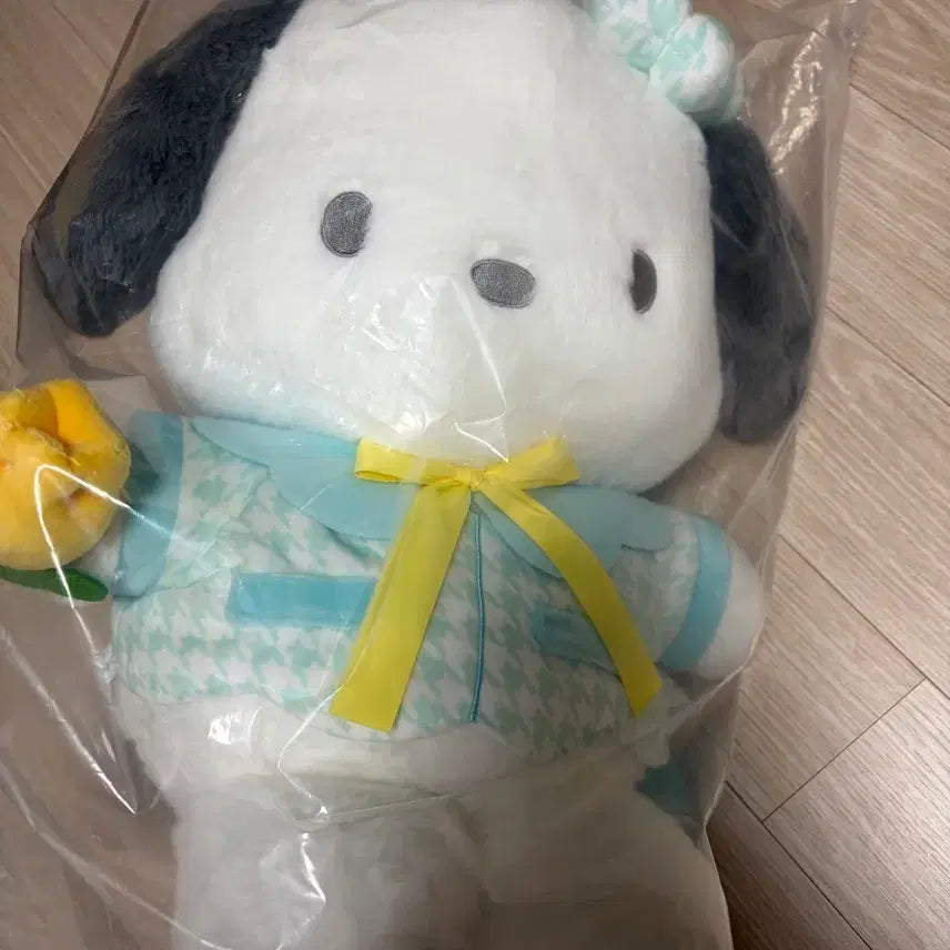 [BUNJANG] Sanrio Pochacco "Spring Blossom" Plush Doll (B Prize) / 미개봉)중국 산리오 쿠지 B상 포차코 인형