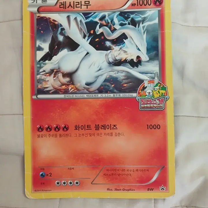 [BUNJANG] Reciramu Promo Card / 급처) 빅사이즈 레시라무 프로모 카드