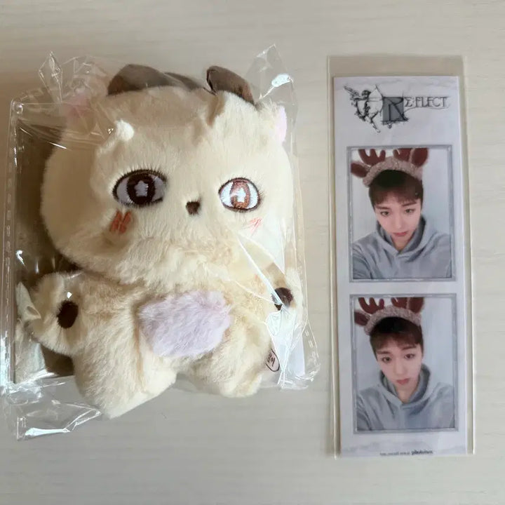 [BUNJANG] Park Ji Hoon Sosimyi Reflect Limited Photoism Photocard Bundle Set / [미개봉]박지훈 소심이 리플랙트 한정 포토이즘 포카 일괄