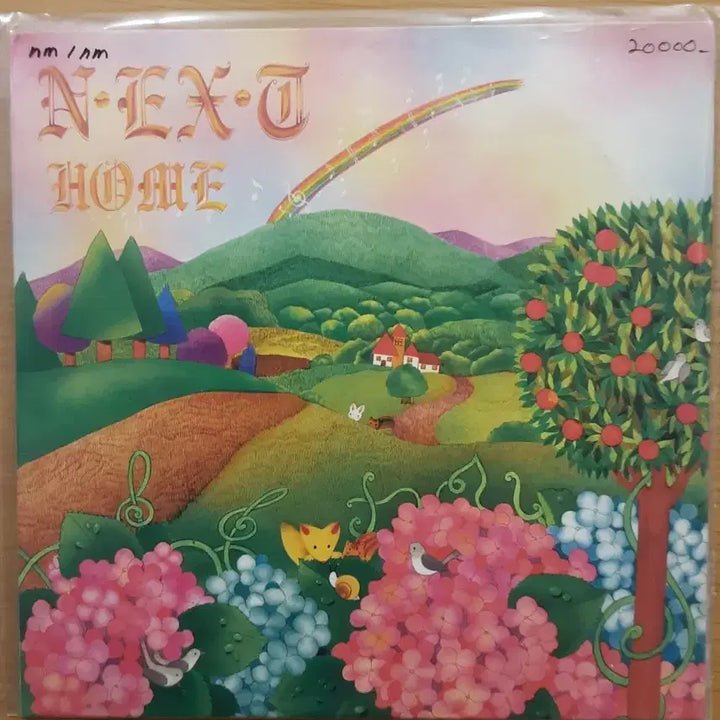 [BUNJANG] Next LP Vinyl Record / 넥스트 lp