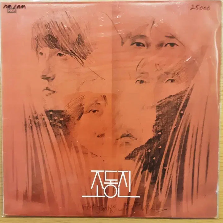 [BUNJANG] Jo Dong Jin LP Vinyl Record / 조동진 lp