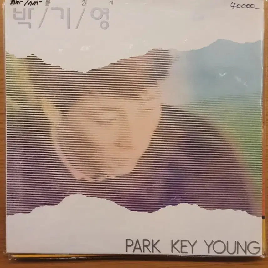 [BUNJANG] Park Ki Young LP Record / 박기영 lp