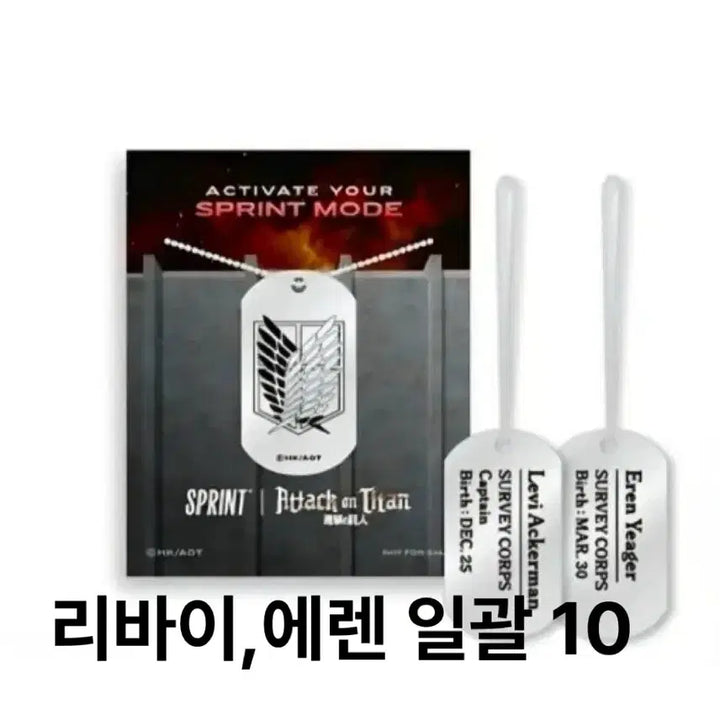 [BUNJANG] Attack on Titan x GS25 Collaboration Levi &amp; Eren Dog Tag Keychain / 진격의 거인XGS스프린트 이벤트 콜라보 리바이,에렌 군번줄 키링 굿즈
