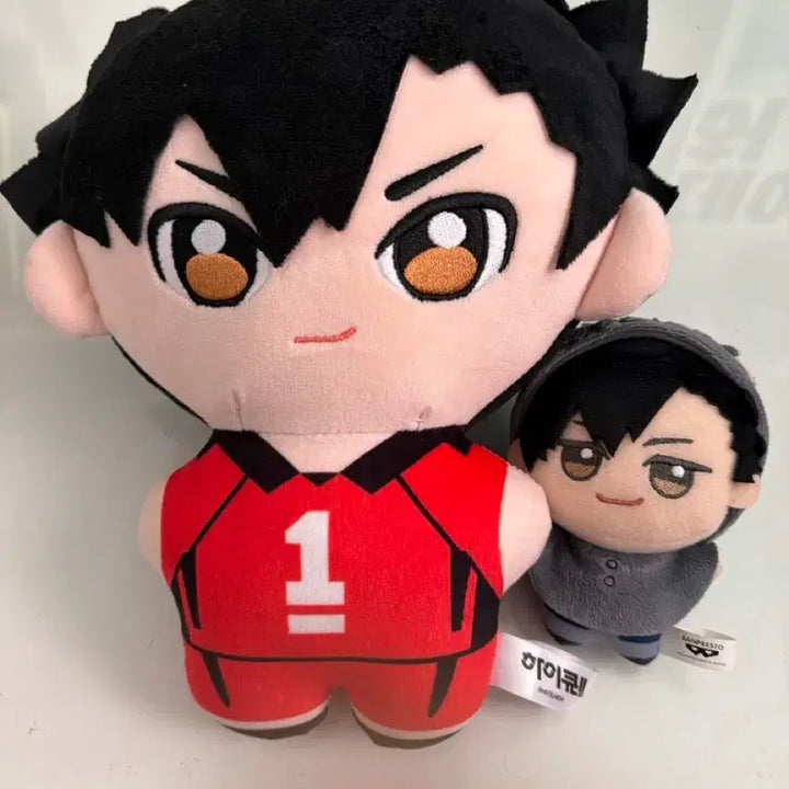 [BUNJANG] Haikyuu!! Tetsuro Kuroo Doll Bundle Set / 하이큐 쿠로오 테츠로 인형 일괄