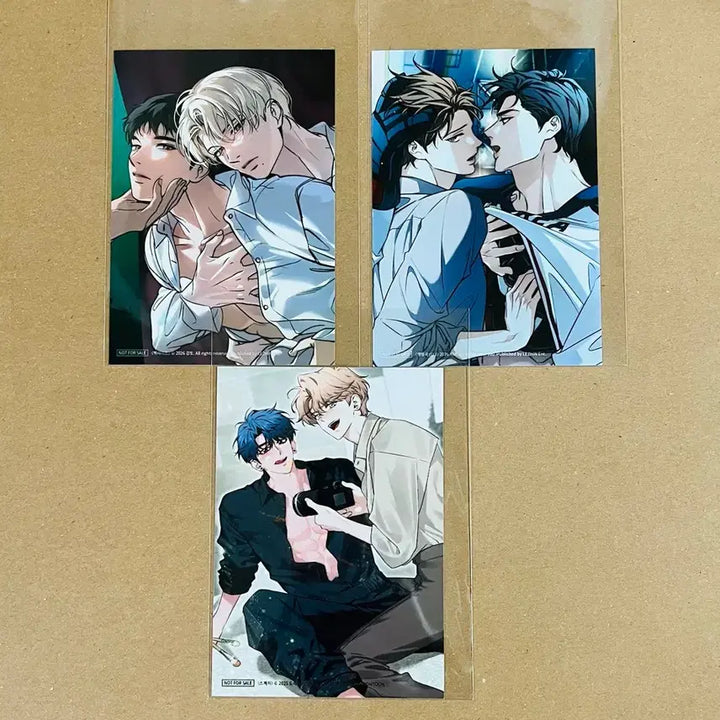 [BUNJANG] Backlight Melting Curve Sketch Header Printed Photos (3 Types) / 백라이트 해빙곡선 스케치 헤더 인화사진 3종