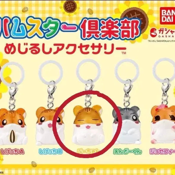 [BUNJANG] Hamster Club Mezurushi Fu-chan Gacha / 햄스터 클럽 메지루시 푸짱 가챠