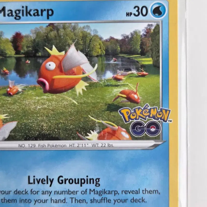 [BUNJANG] Pokemon TCG Magikarp Pokemon GO 021/078 North American Edition / [북미판] 포켓몬 카드 잉어킹 (Pokemon GO 021/078) 포켓몬고