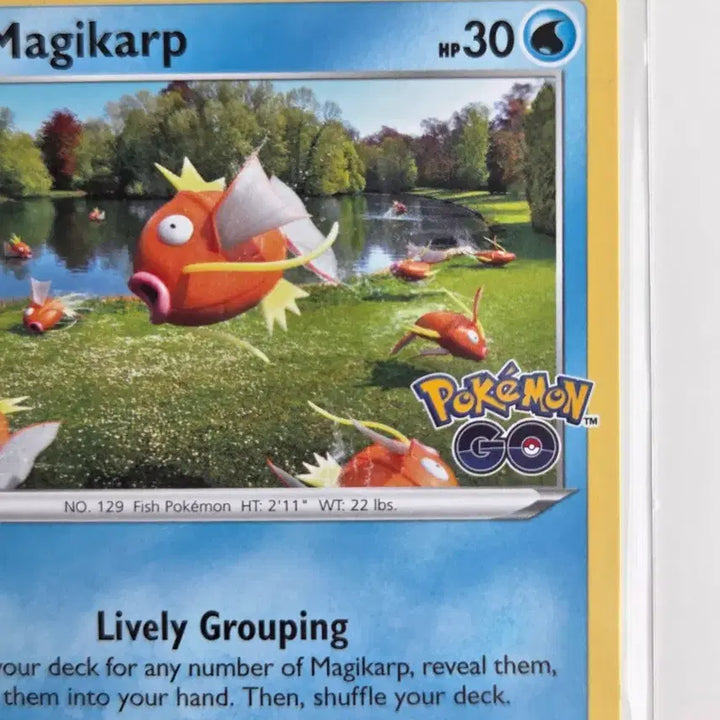 [BUNJANG] Pokemon TCG Magikarp Pokemon GO 021/078 North American Edition / [북미판] 포켓몬 카드 잉어킹 (Pokemon GO 021/078) 포켓몬고