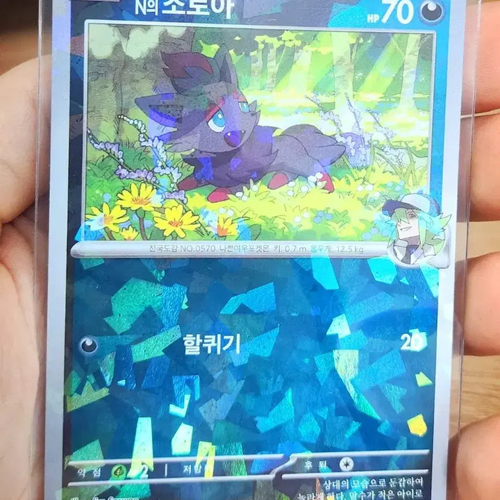 [BUNJANG] Pokemon Card N&