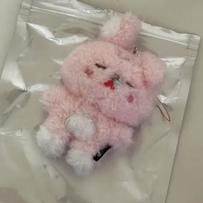 [BUNJANG] Unfiltered Cool Phil Philkk Photo Card / 언필터드 필끼 쿨쿨필 양도합니다