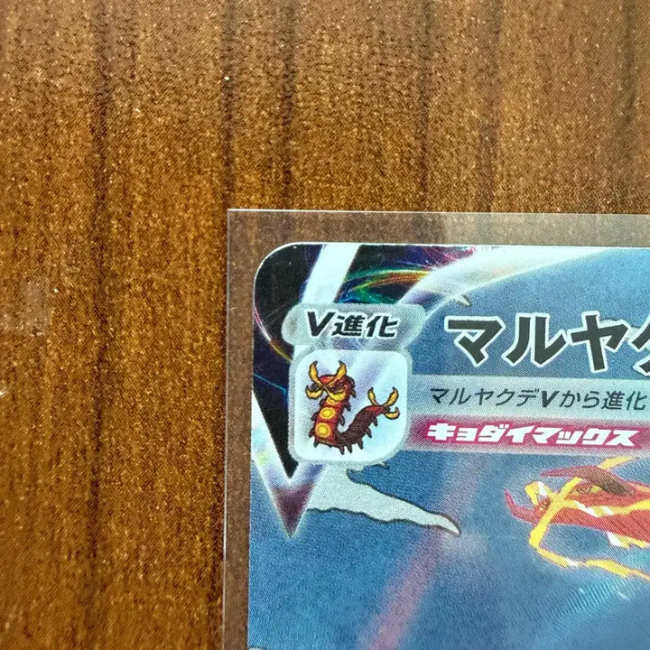 [BUNJANG] Daruja VMAX CSR Japanese / 다테우지네 vmax csr 일판