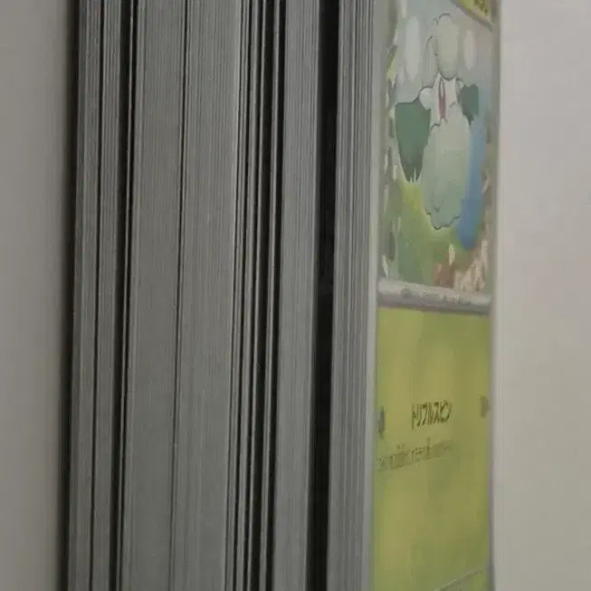 [BUNJANG] Pokemon Common Cards Bundle / 포켓몬 일반카드 대량