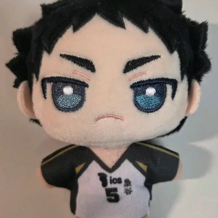 [BUNJANG] Haikyuu!! Keiji Akaashi Nui Plush / 아카아시 케이지 누이팔 누이파루 누이구루미 하이큐