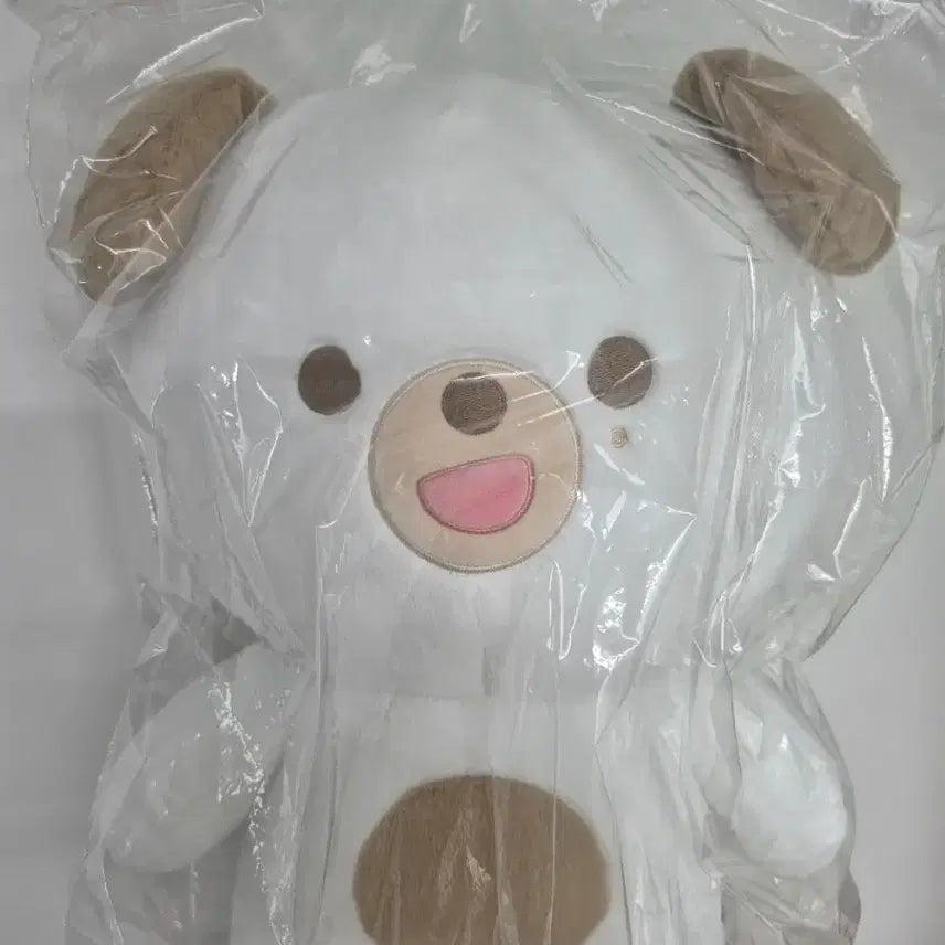 [BUNJANG] DAY6 Giant Petit Merz DON Photocard Set / 데이식스 자이언트 쁘띠멀즈 자쁘멀 돈