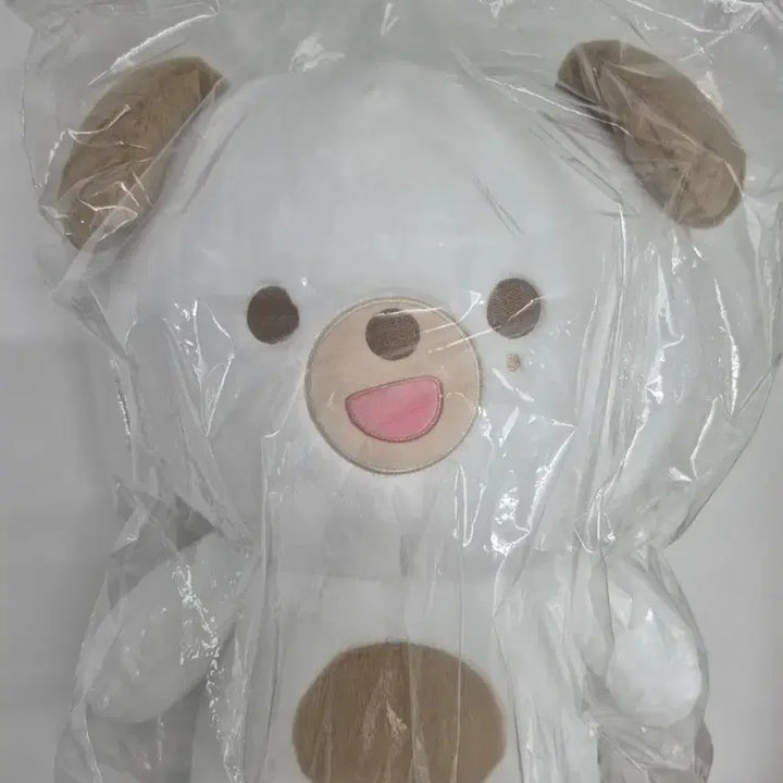 [BUNJANG] DAY6 Giant Petit Merz DON Photocard Set / 데이식스 자이언트 쁘띠멀즈 자쁘멀 돈