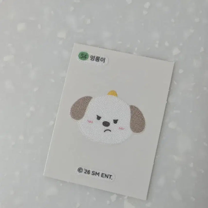 [BUNJANG] RIIZE Anton Mini 2nd Album Postcard Album Photocard Cheolligil Dibusil Bundle Set / 라이즈 앤톤 미니2집 엽서 앨범 포카 멍룡이 띠부씰 비공굿 일괄판매