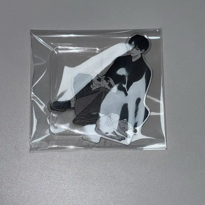 [BUNJANG] Gabage Time Sungjunsu Acrylic Stand / 시오님 sio님 가비지타임 갑타 성준수 아크릴 스탠드