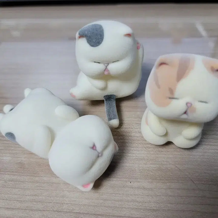 [BUNJANG] Drowsy Cat Flokkie Figure Set (3 Types) with Pin Badge / 졸린 고양이 플로키 피규어 3종 세트
