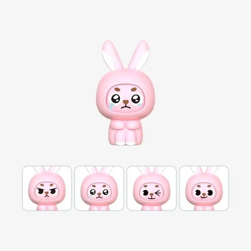 [BUNJANG] DAY6 Wonpil Face Figure Danimals Solo Concert MD / 원필 페이스피규어 데니멀즈 솔로 콘서트 md